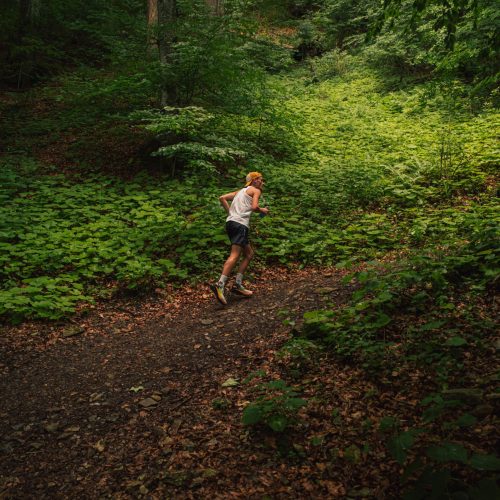 The Great Outdoors